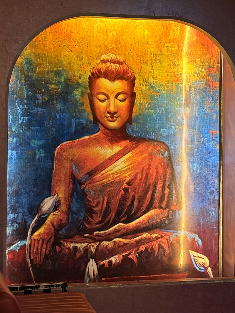 OLIX Salon Gallery