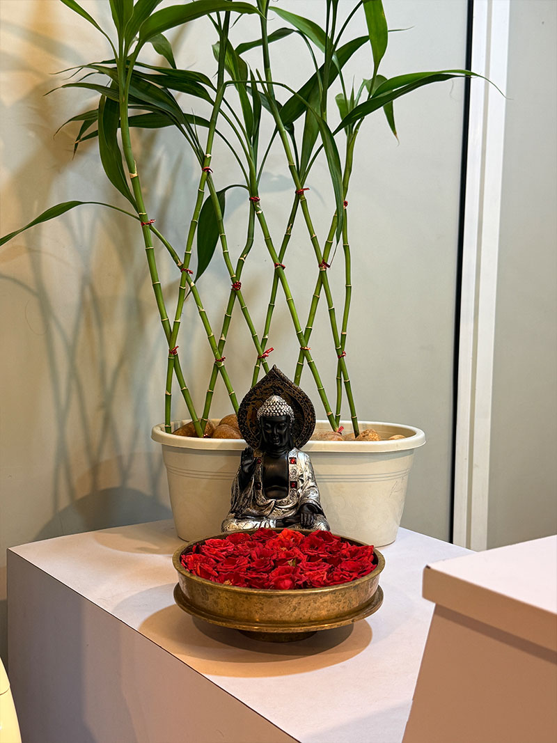 OLIX Salon Gallery